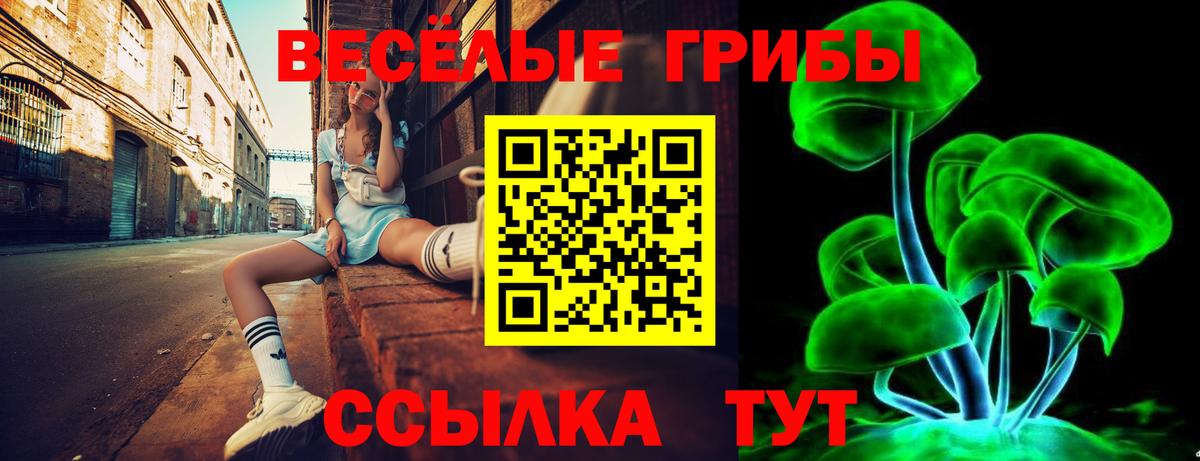 Тында  Псилоцибиновые грибы Magic Shrooms  Псилоцибиновые грибы ЛСД  Вход с VPN 