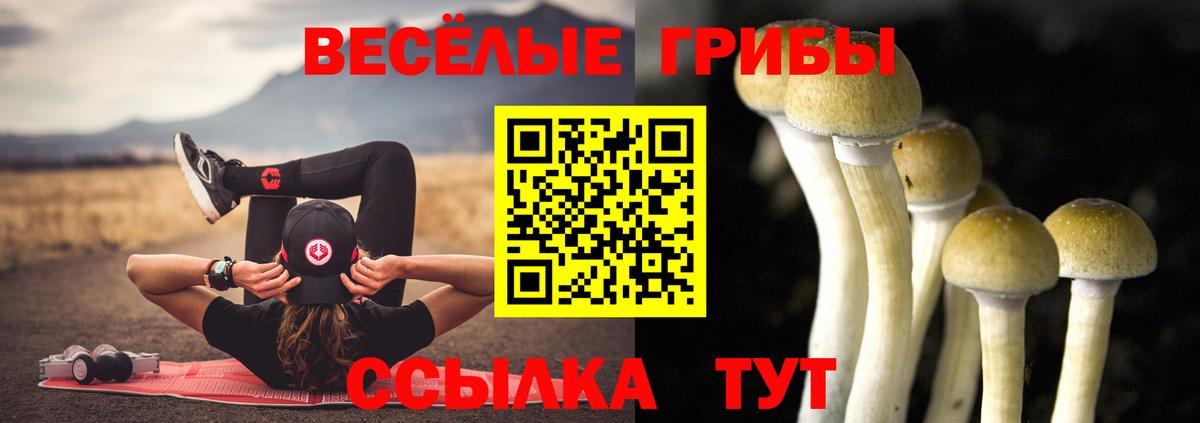 Галлюциногенные грибы MAGIC MUSHROOMS Тында
